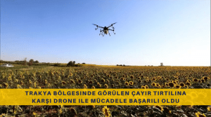 Drone ile ilaçlama yapılan alanlarda çayır tırtılı sorunu kontrol altına alındı