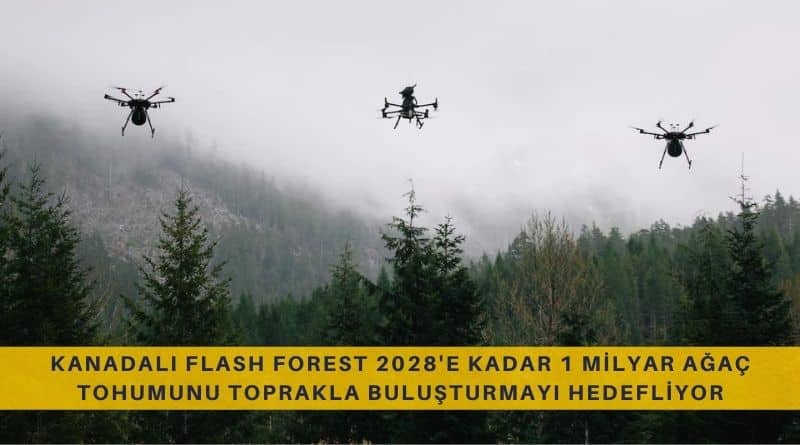 Kanadalı Flash Forest Şirketi Drone Kullanarak 2028'e Kadar 1 Milyar Ağaç Tohumunu Toprakla Buluşturmayı Hedefliyor