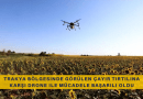Drone ile ilaçlama yapılan alanlarda çayır tırtılı sorunu kontrol altına alındı